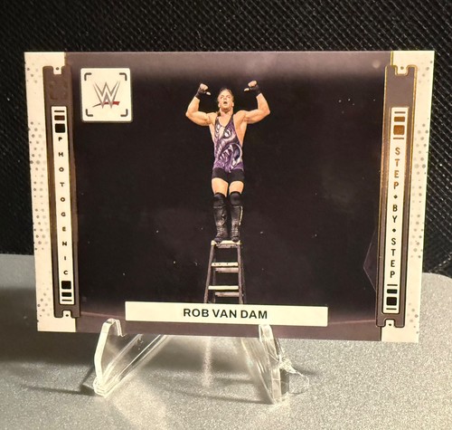 2024 wwe panini - panini, photogenic